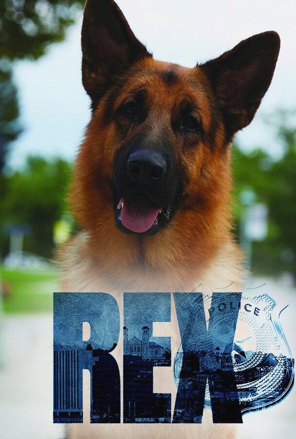 Хадсон и Рекс (Сериал 2019 / 1–9 Сезон)